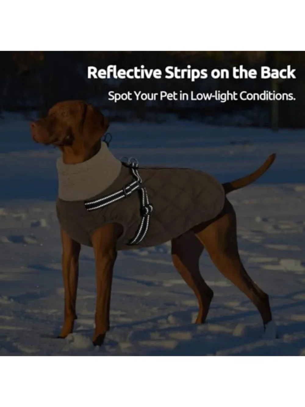 Cozy Dog Coat with Harness for Small Breeds - Dachshund Jacket, Warm & Stylish
